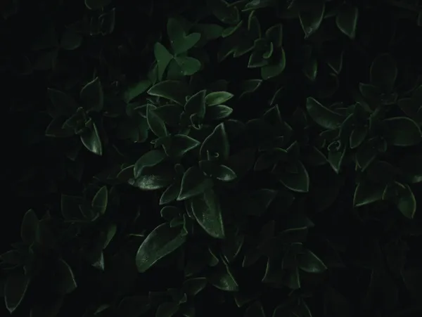 如何清楚判斷Sugar Daddy財力與真實條件：給每位Sugar Baby的安全感指南